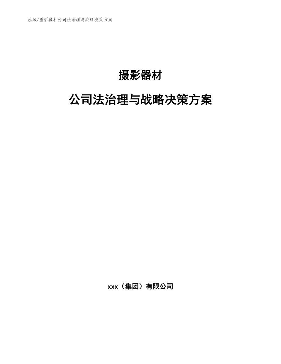 摄影器材公司法治理与战略决策方案（范文）_第1页