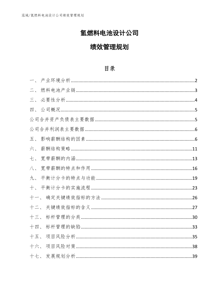 氢燃料电池设计公司绩效管理规划_第1页
