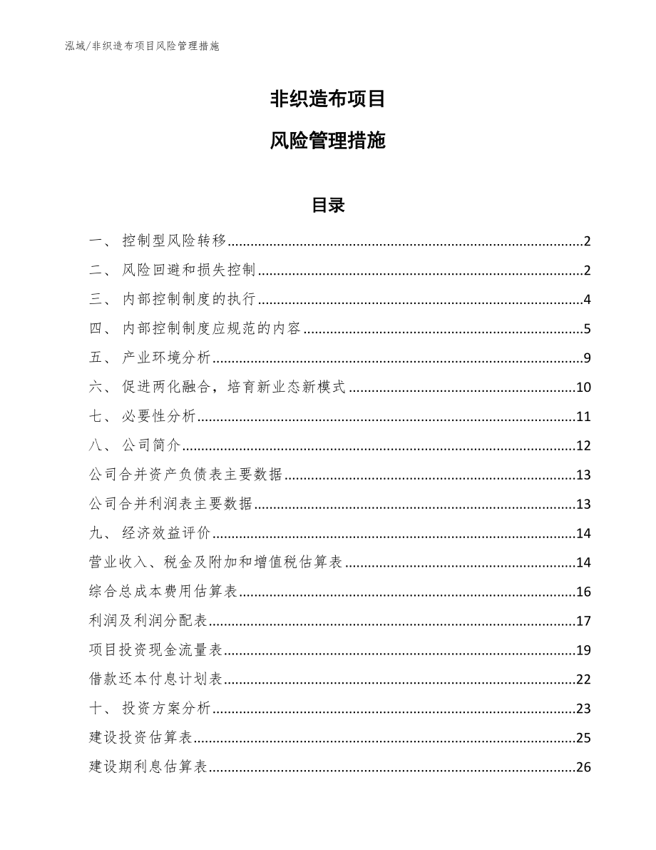 非织造布项目风险管理措施_范文_第1页
