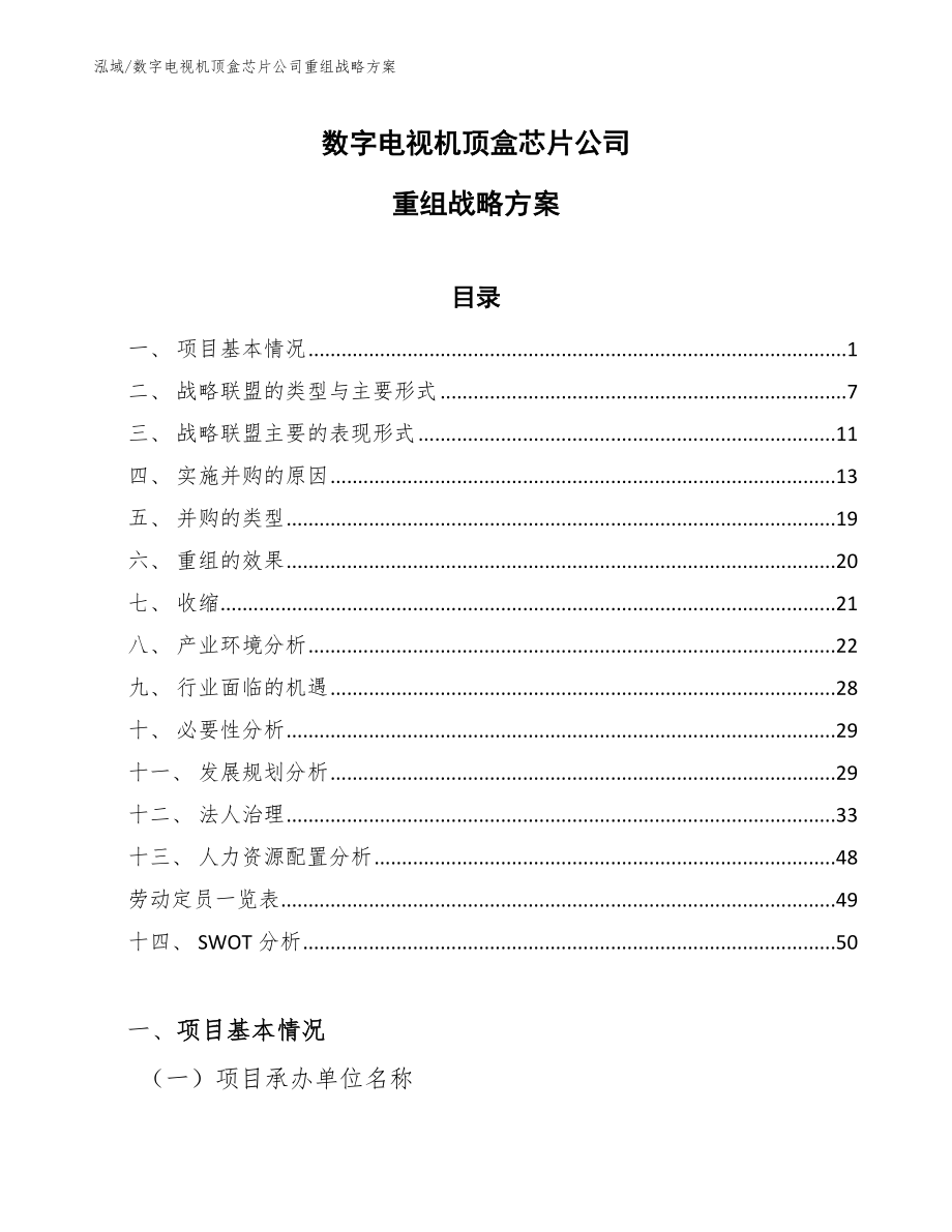 数字电视机顶盒芯片公司重组战略方案_第1页