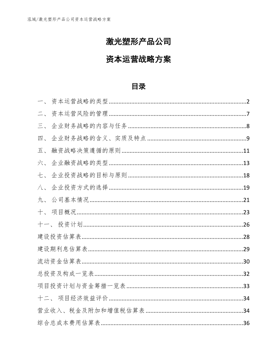 激光塑形产品公司资本运营战略方案（范文）_第1页