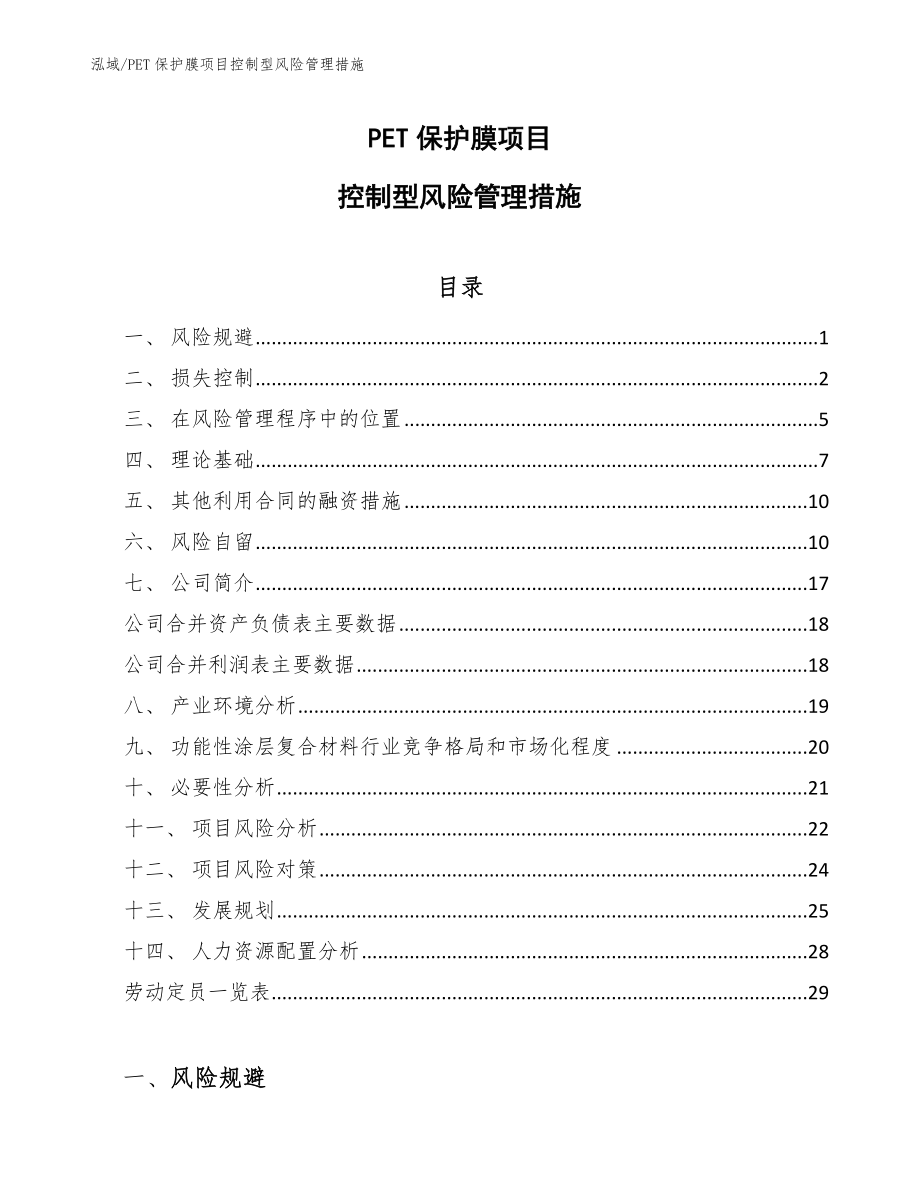 PET保护膜项目控制型风险管理措施（参考）_第1页