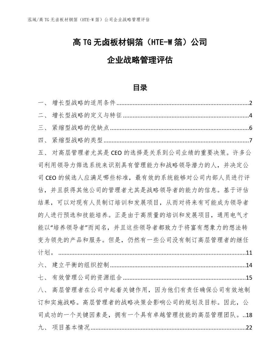 高TG无卤板材铜箔（HTE-W箔）公司企业战略管理评估【范文】_第1页