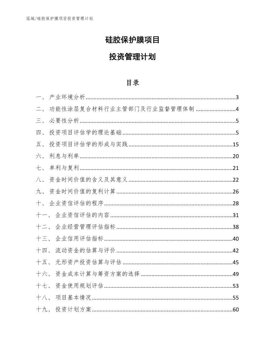 硅胶保护膜项目投资管理计划（范文）_第1页