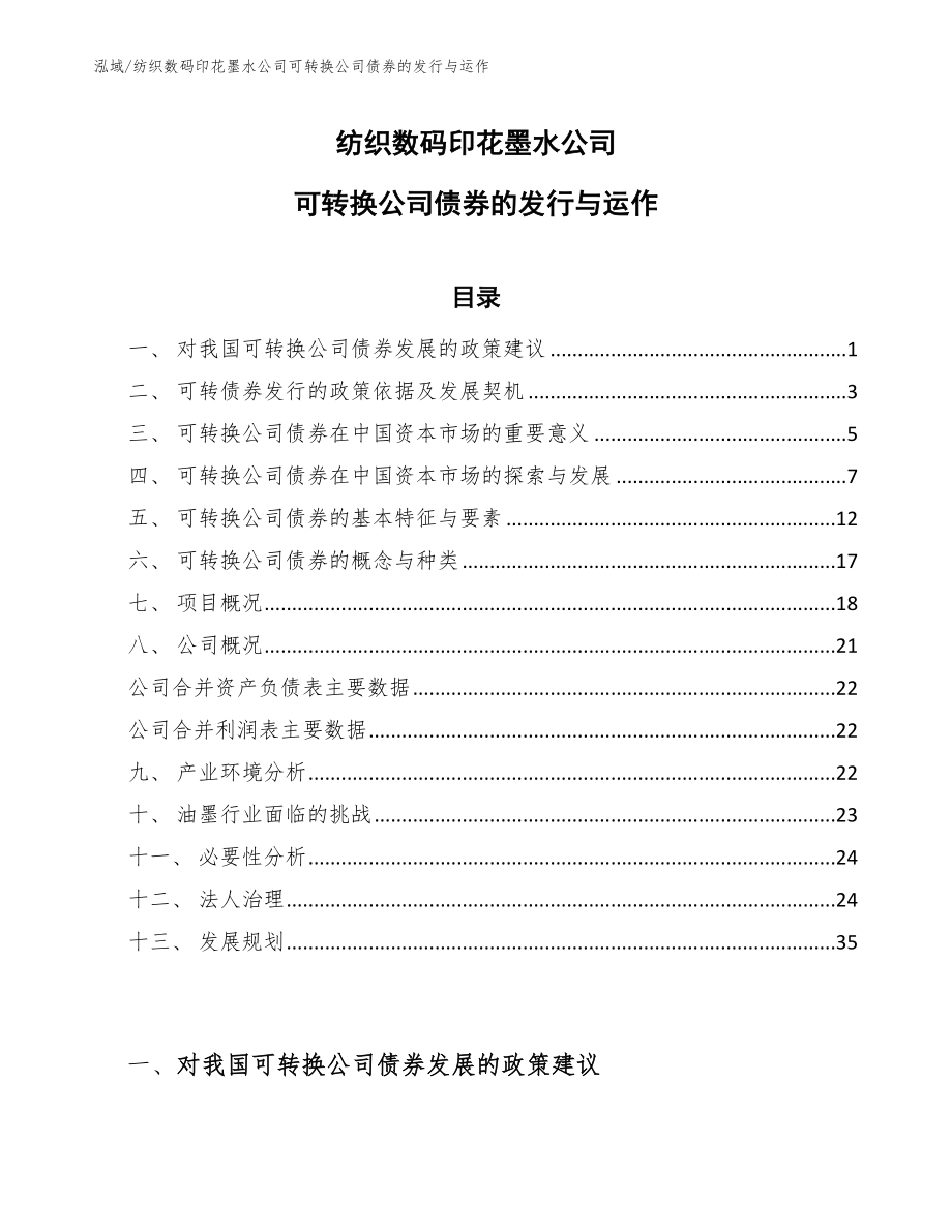 纺织数码印花墨水公司可转换公司债券的发行与运作（范文）_第1页