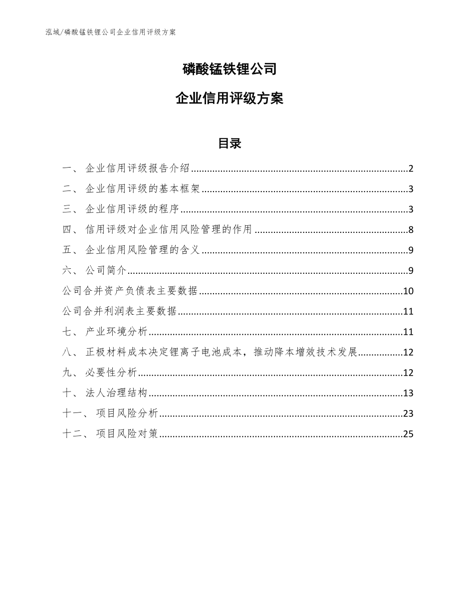 磷酸锰铁锂公司企业信用评级方案【范文】_第1页