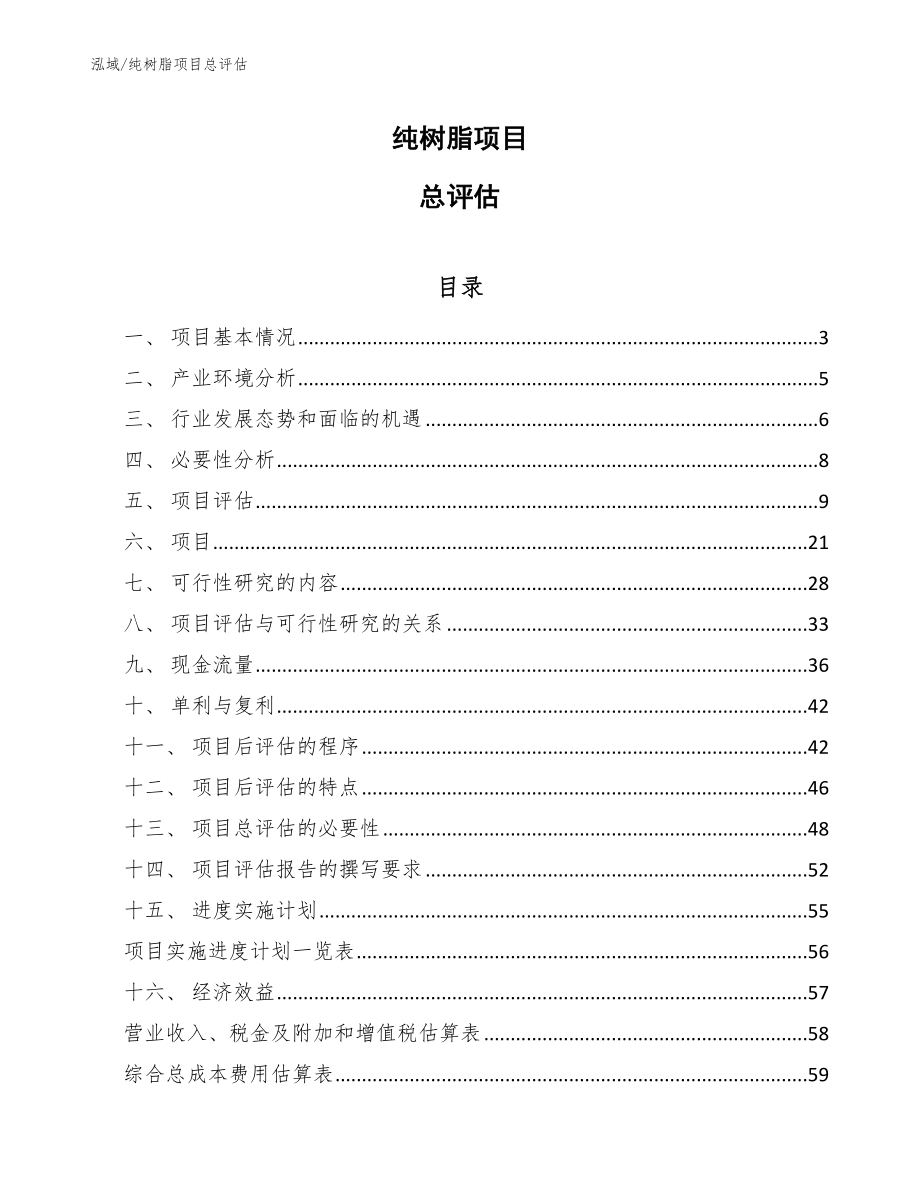 纯树脂项目总评估（参考）_第1页
