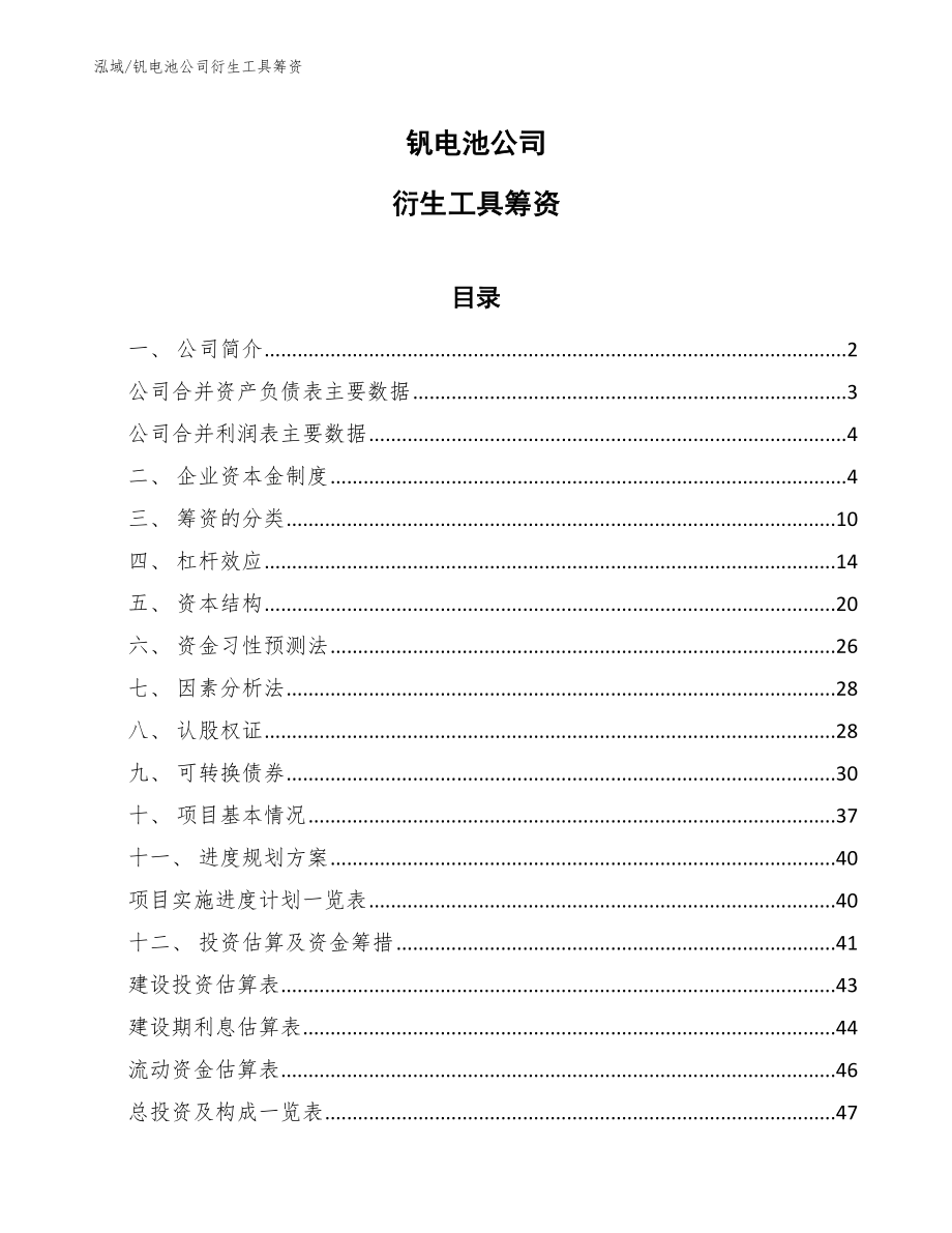 钒电池公司衍生工具筹资_第1页