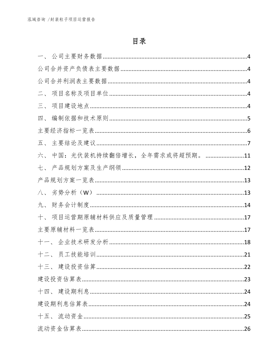 封装粒子项目运营报告-参考模板_第1页