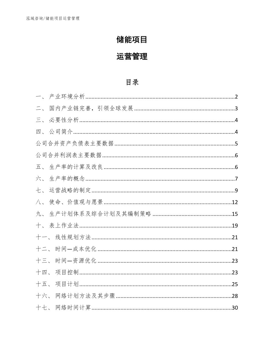 储能项目运营管理【范文】_第1页