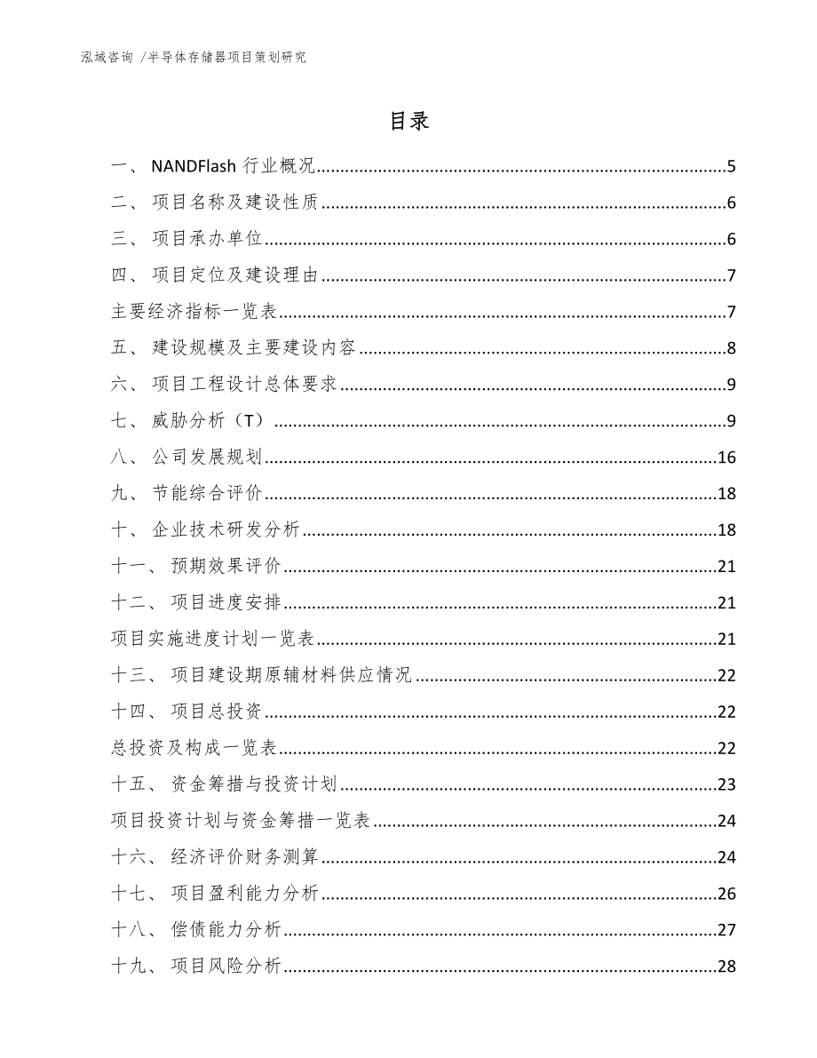 半导体存储器项目策划研究（模板范本）_第1页