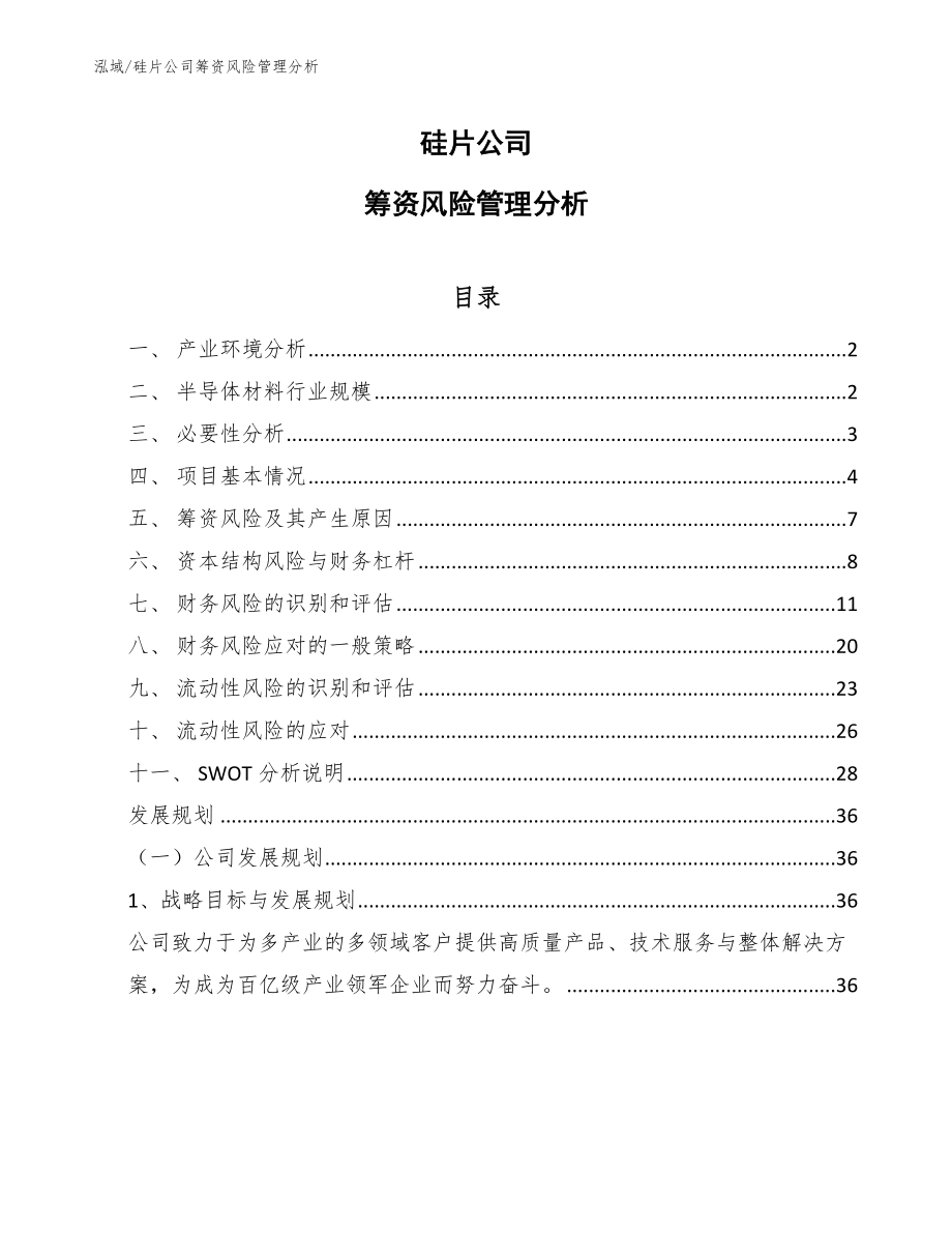 硅片公司筹资风险管理分析_第1页