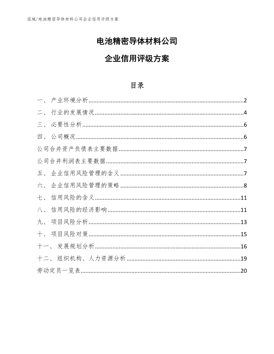 电池精密导体材料公司企业信用评级方案_参考_第1页