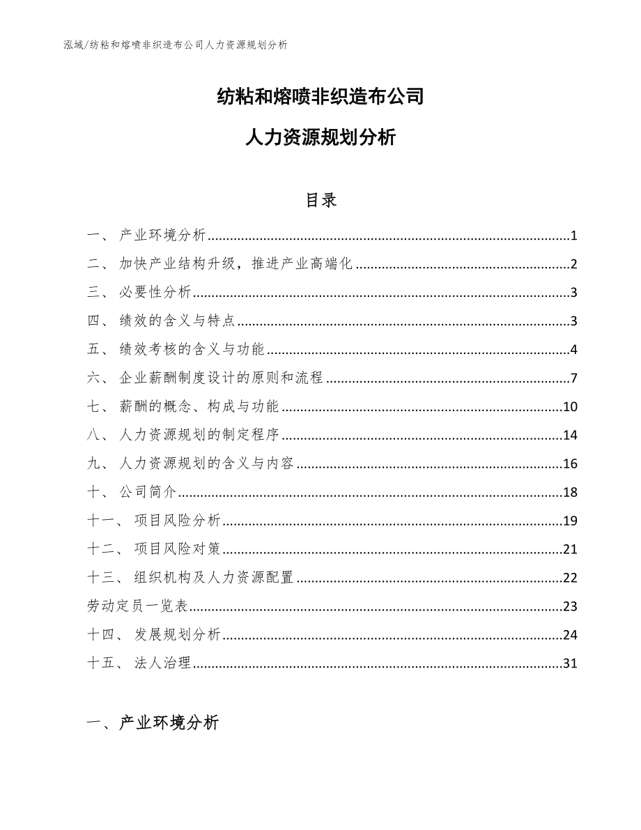 纺粘和熔喷非织造布公司人力资源规划分析（范文）_第1页