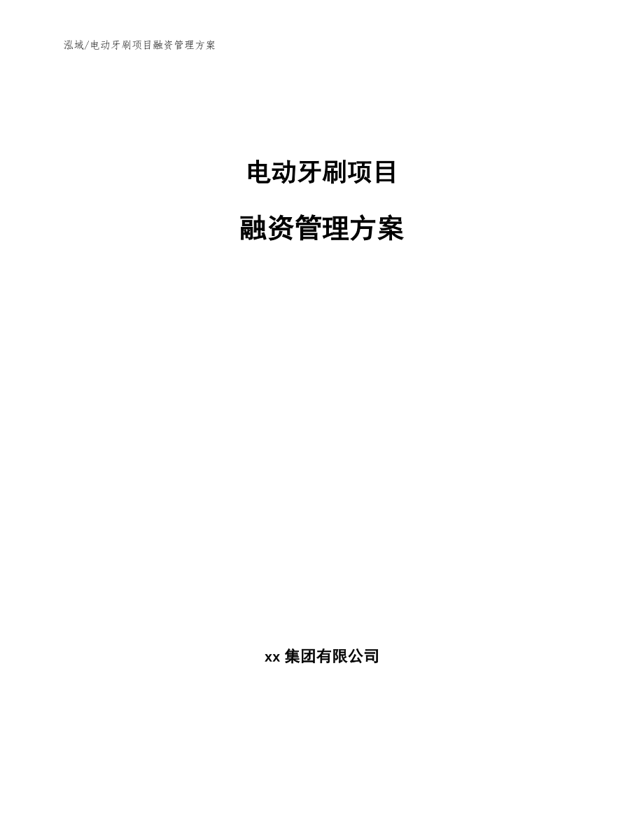 电动牙刷项目融资管理方案_参考_第1页