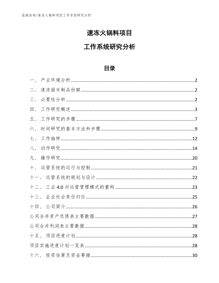 速冻火锅料项目工作系统研究分析（参考）_第1页