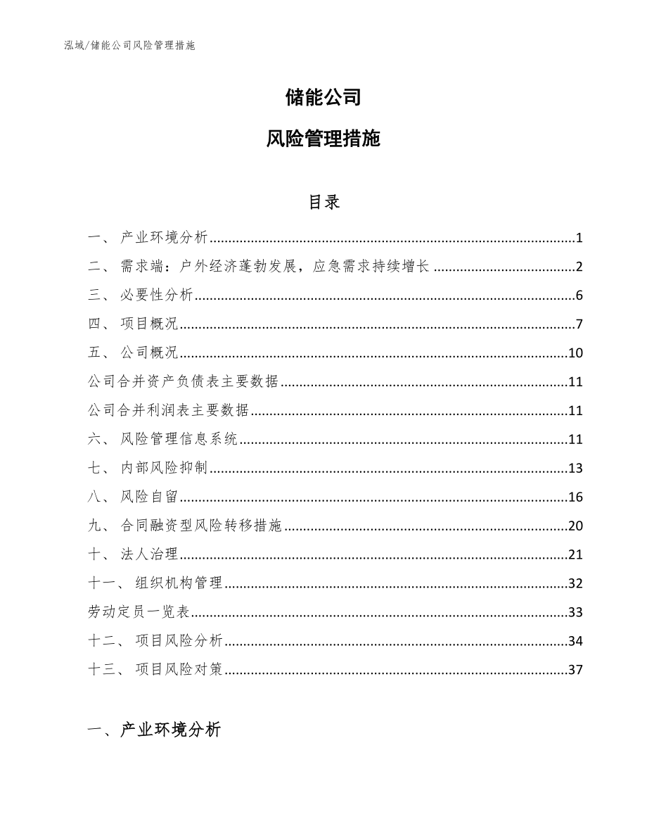 储能公司风险管理措施【范文】_第1页