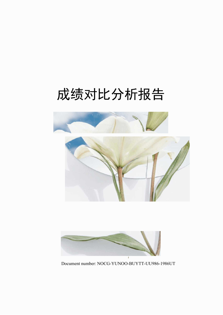 成绩对比分析报告_第1页