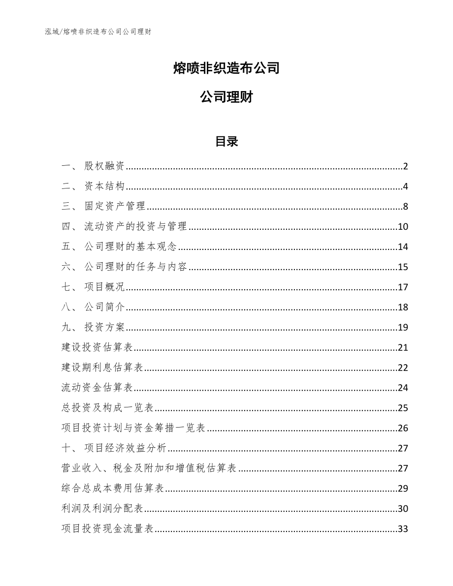 熔喷非织造布公司公司理财_范文_第1页