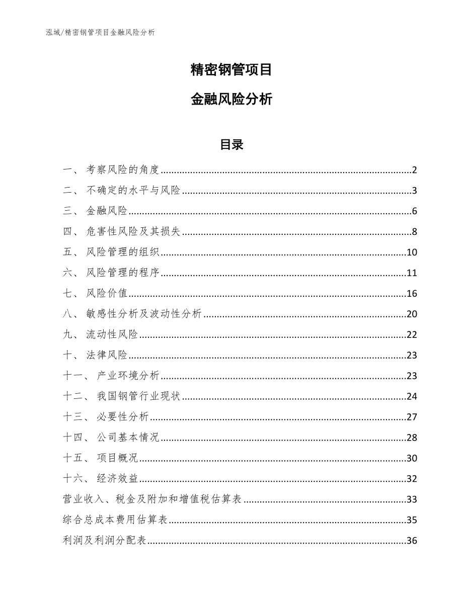 精密钢管项目金融风险分析【参考】_第1页
