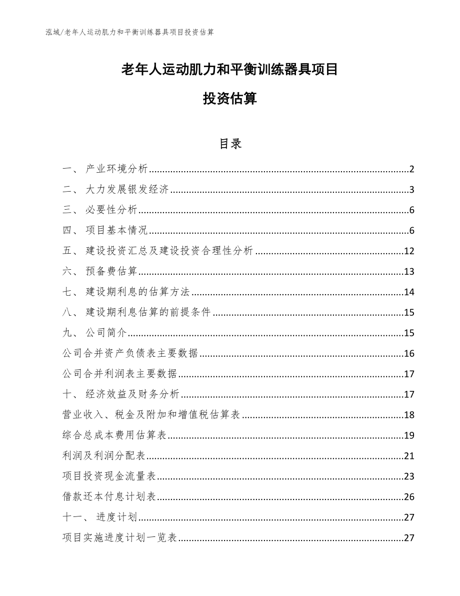 老年人运动肌力和平衡训练器具项目投资估算_参考_第1页