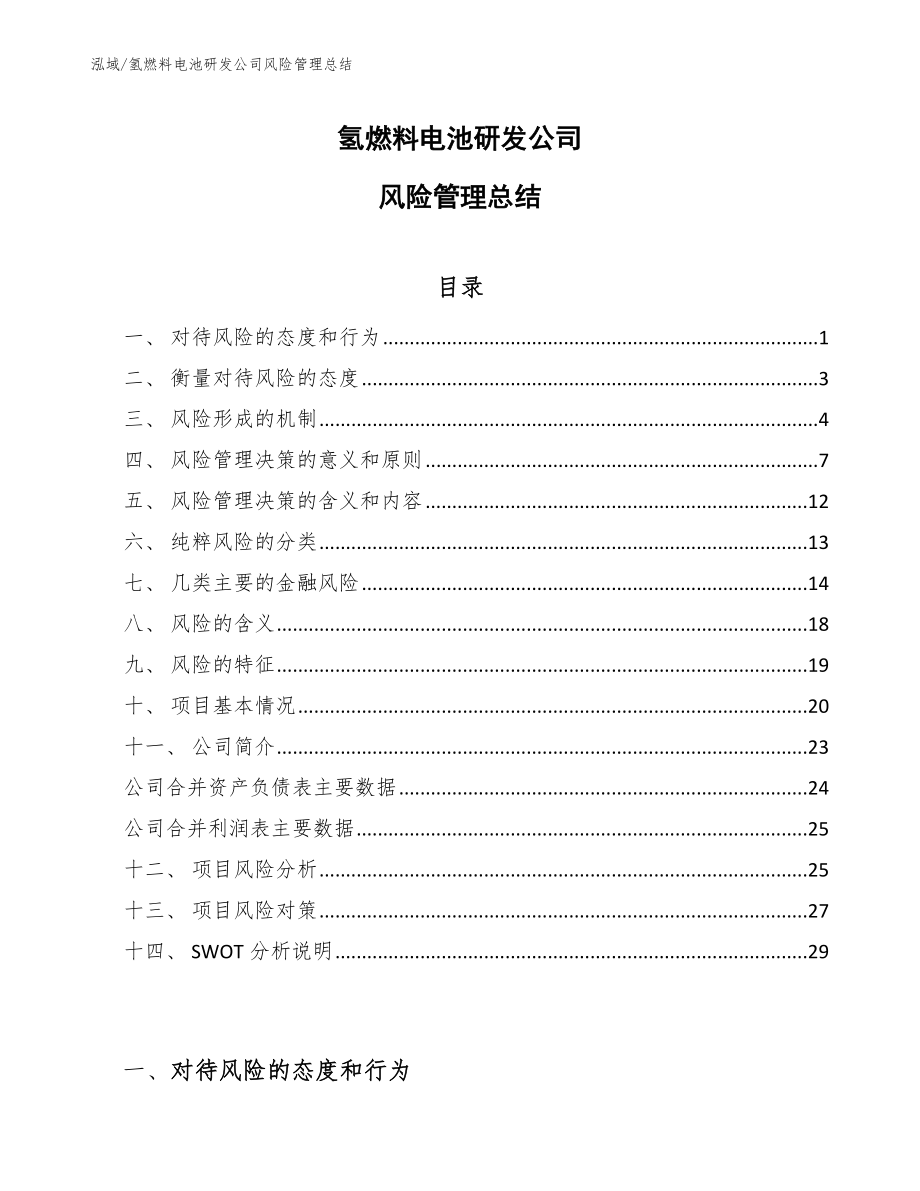 氢燃料电池研发公司风险管理总结_第1页