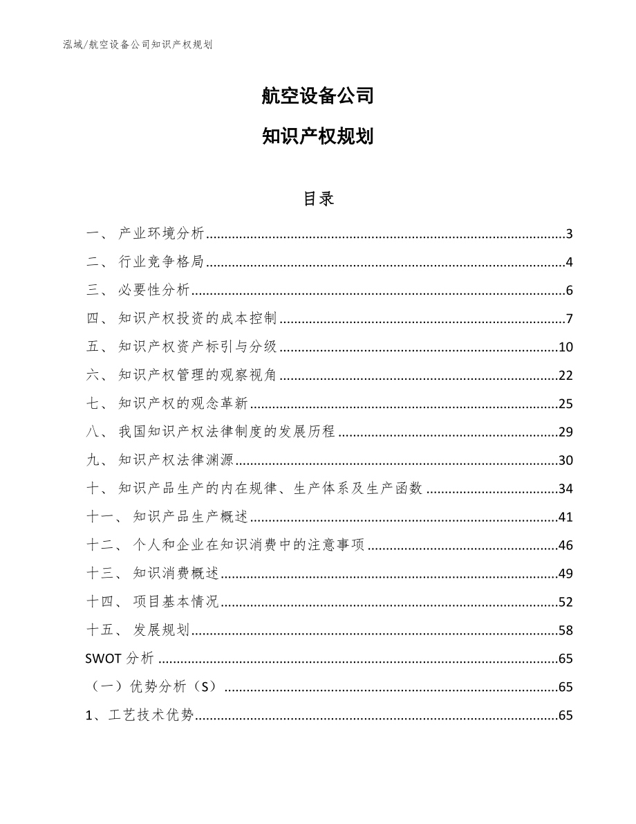 航空设备公司知识产权规划（范文）_第1页