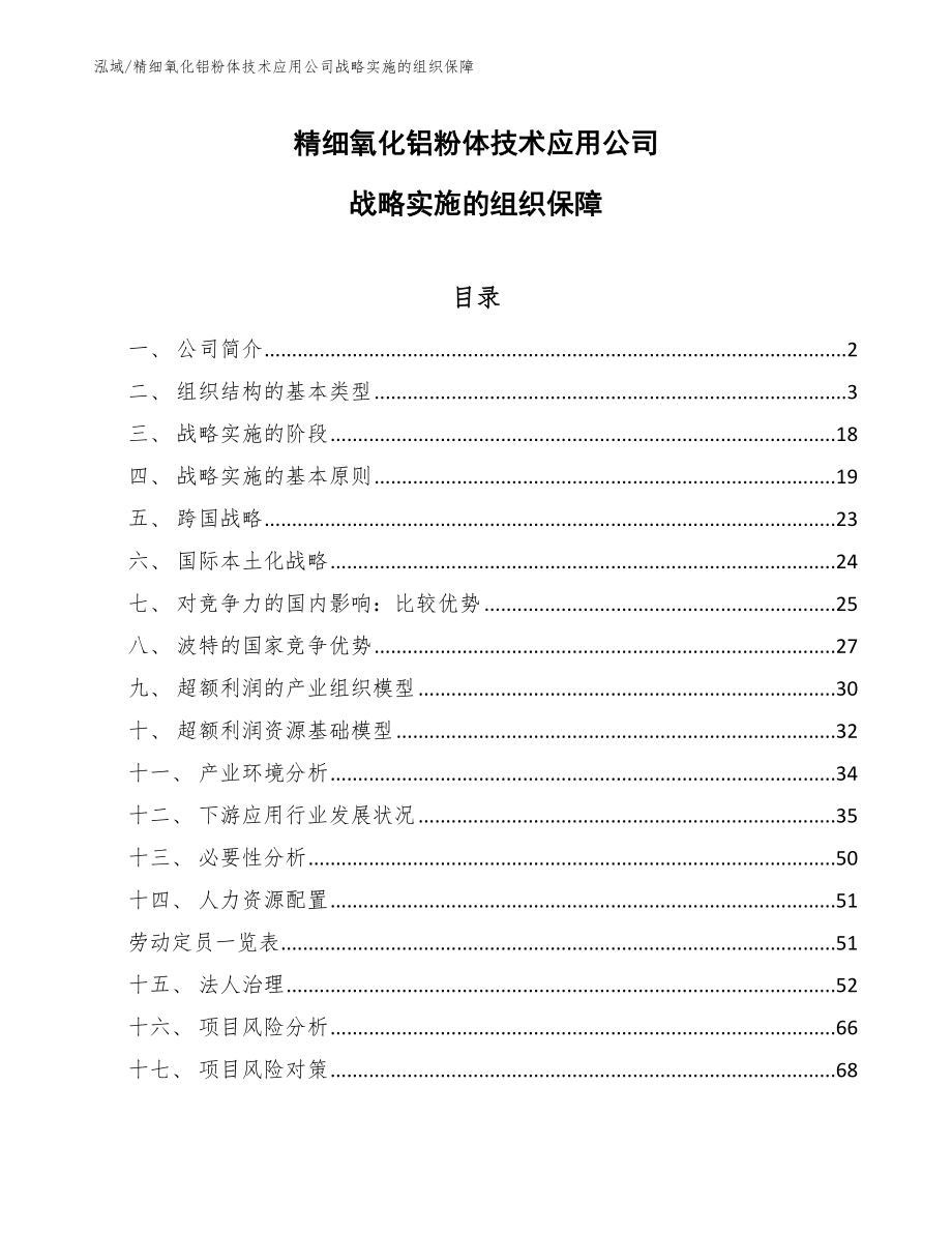 精细氧化铝粉体技术应用公司战略实施的组织保障_第1页