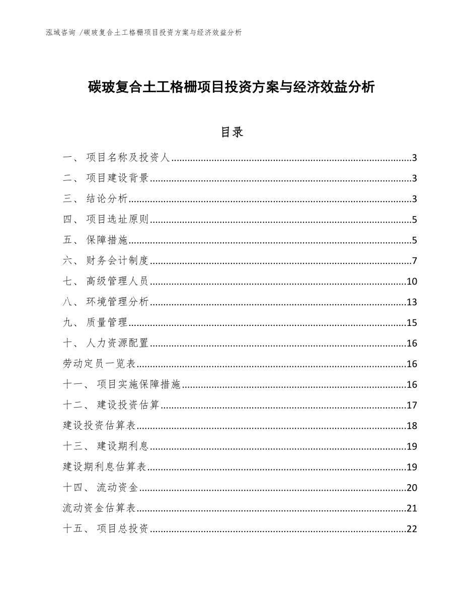 碳玻复合土工格栅项目投资方案与经济效益分析-（模板范文）_第1页
