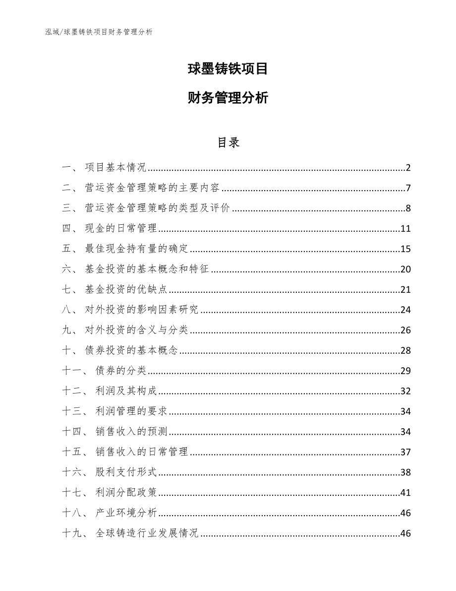 球墨铸铁项目财务管理分析_第1页