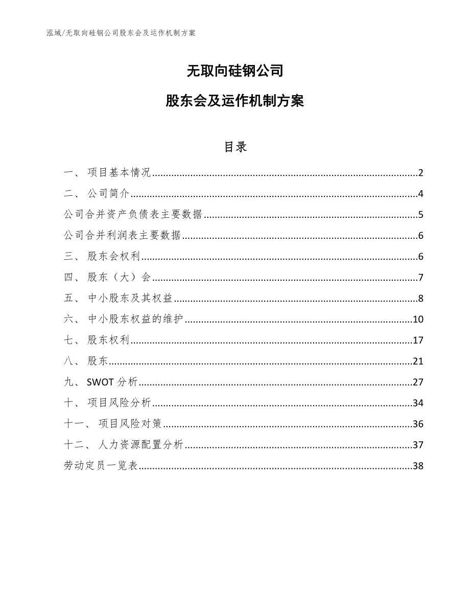 无取向硅钢公司股东会及运作机制方案（参考）_第1页