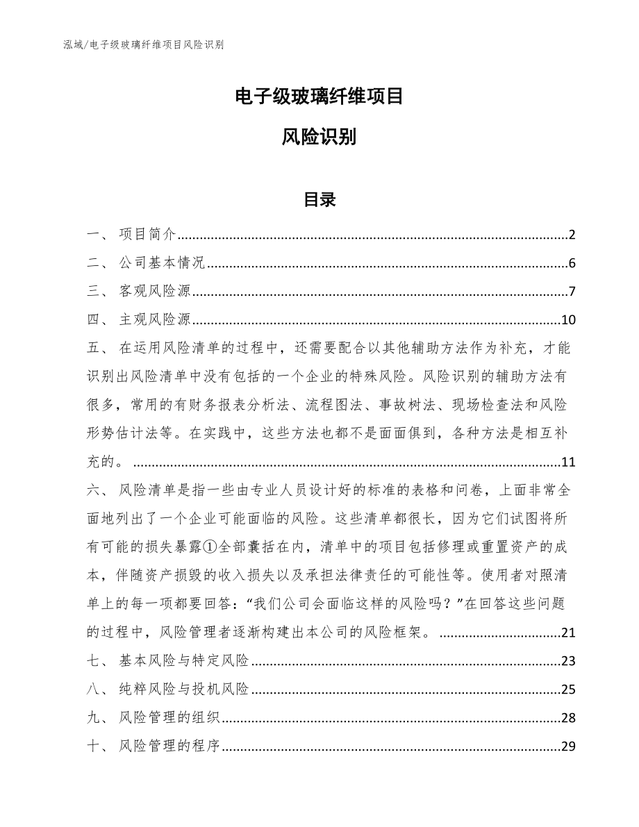 电子级玻璃纤维项目风险识别_参考_第1页
