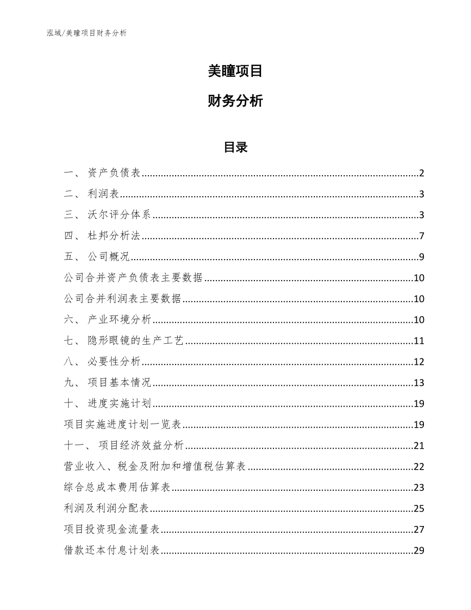 美瞳项目财务分析【范文】_第1页
