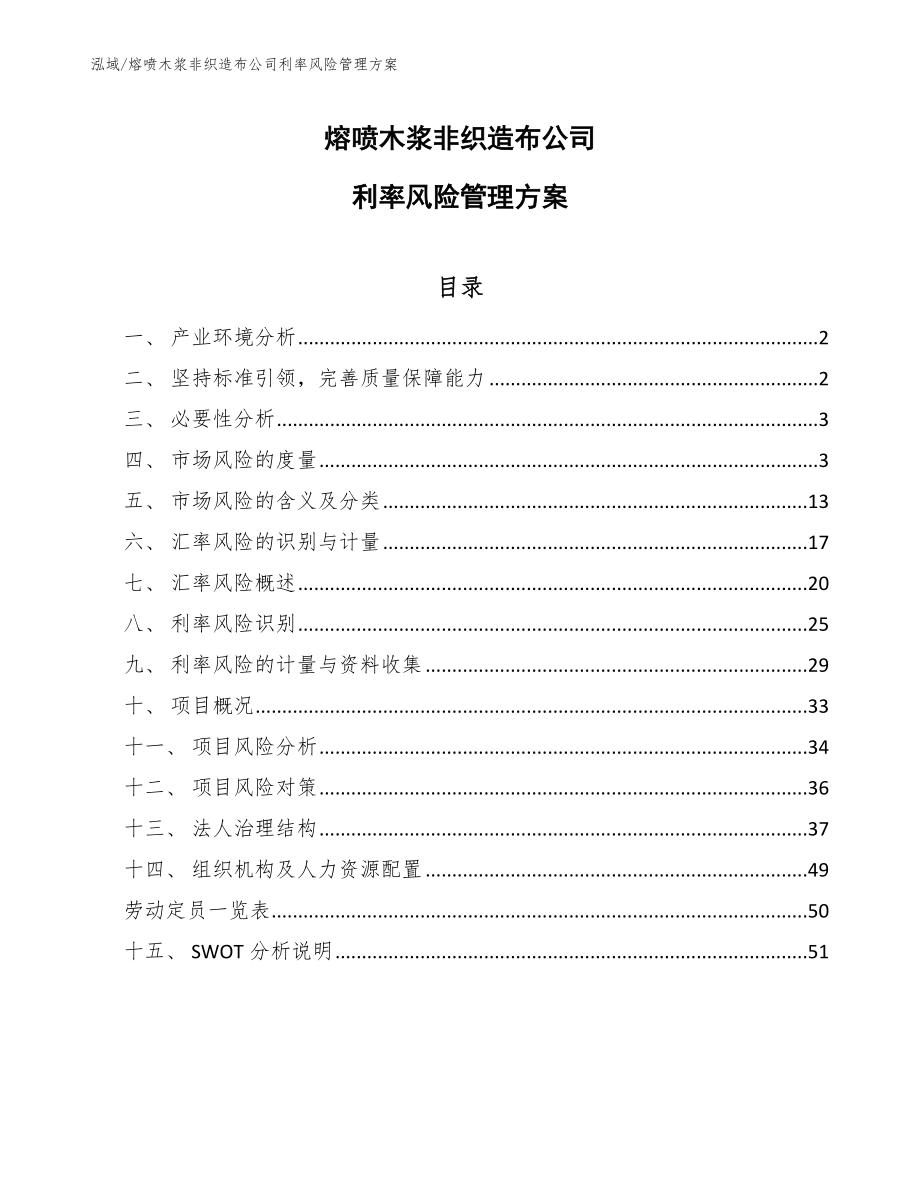 熔喷木浆非织造布公司利率风险管理方案（范文）_第1页