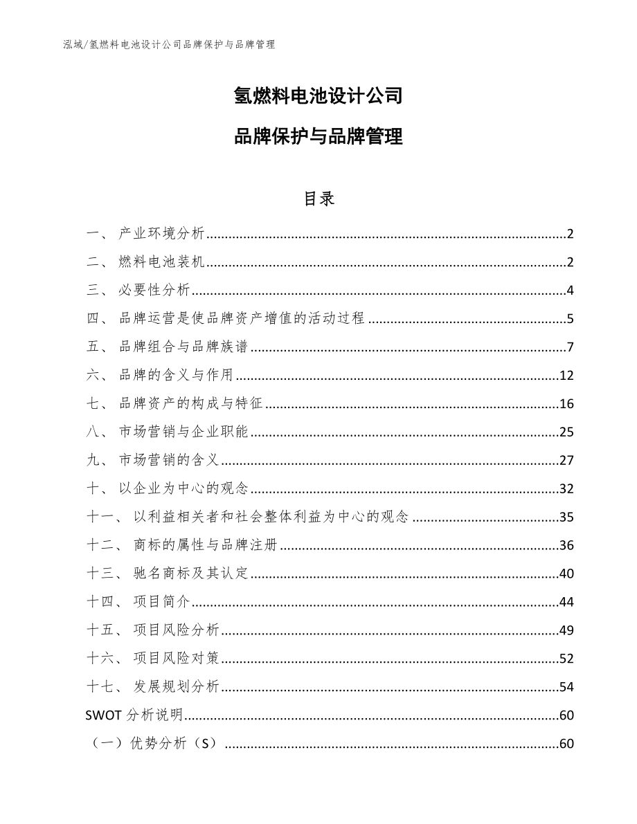 氢燃料电池设计公司品牌保护与品牌管理（参考）_第1页