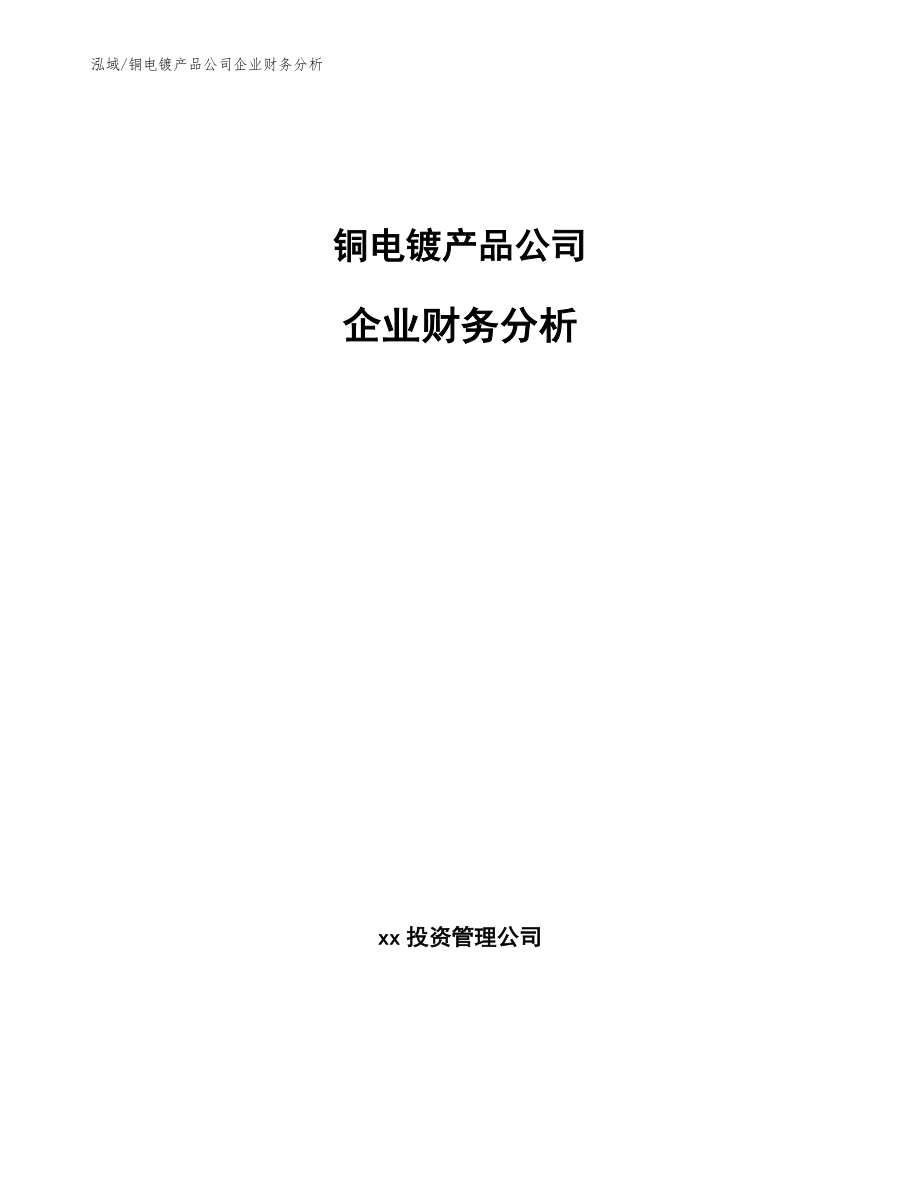 铜电镀产品公司企业财务分析_范文_第1页