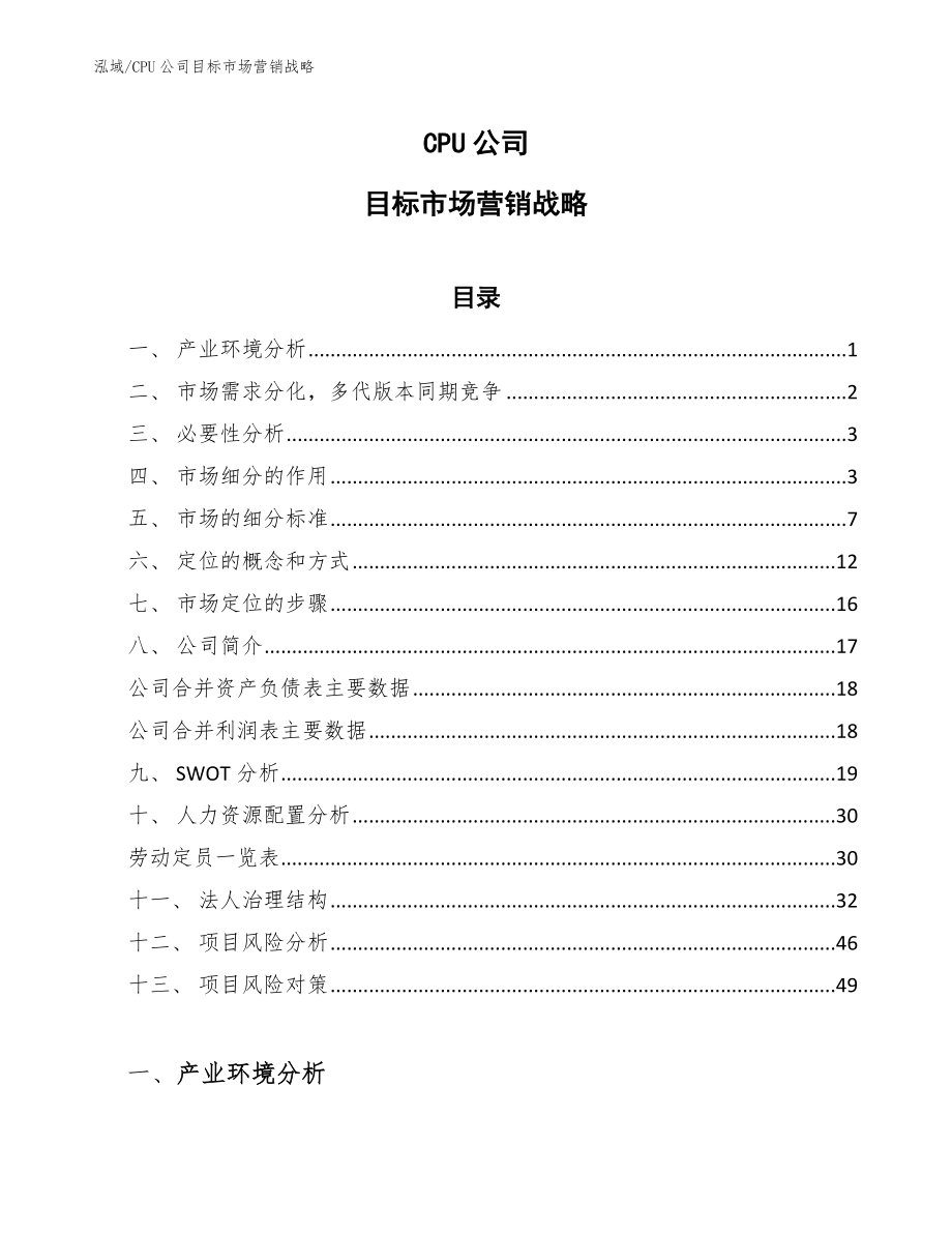 CPU公司目标市场营销战略【参考】_第1页