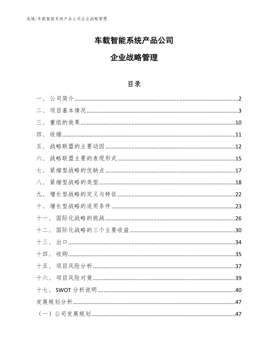 车载智能系统产品公司企业战略管理【范文】_第1页