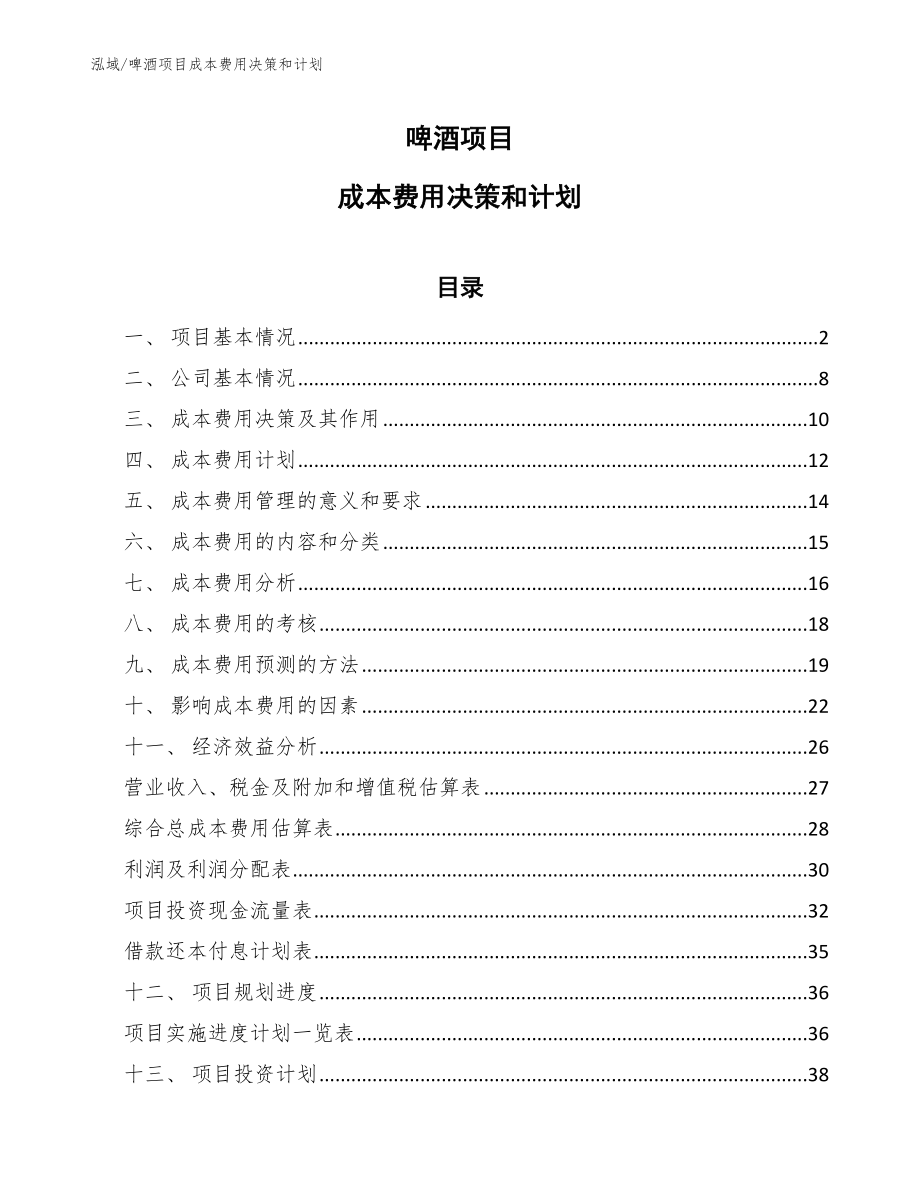 啤酒项目成本费用决策和计划（参考）_第1页
