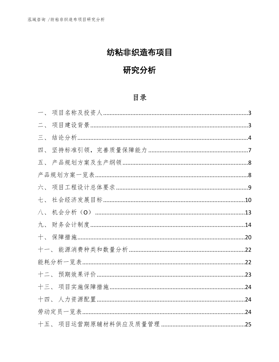 纺粘非织造布项目研究分析【模板】_第1页