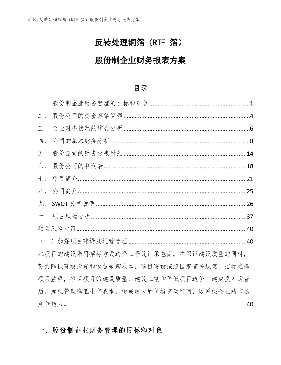 反转处理铜箔（RTF 箔）股份制企业财务报表方案【范文】_第1页