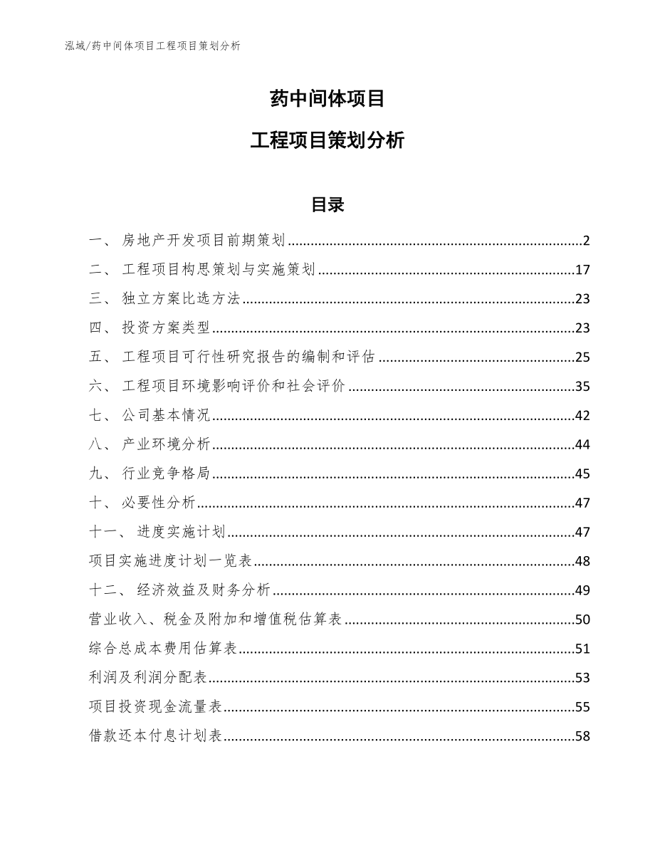 药中间体项目工程项目策划分析【参考】_第1页