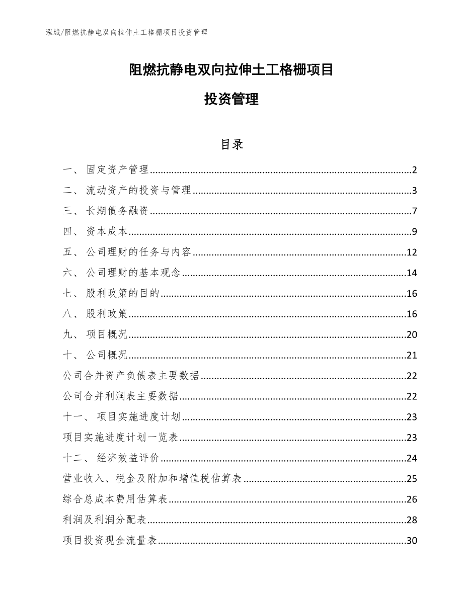 阻燃抗静电双向拉伸土工格栅项目投资管理【参考】_第1页