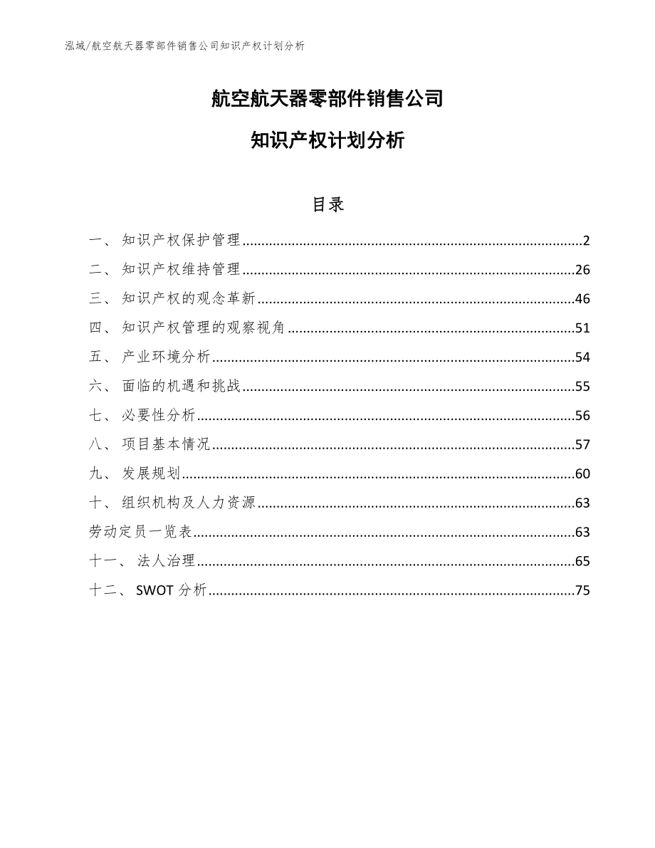 航空航天器零部件销售公司知识产权计划分析_第1页