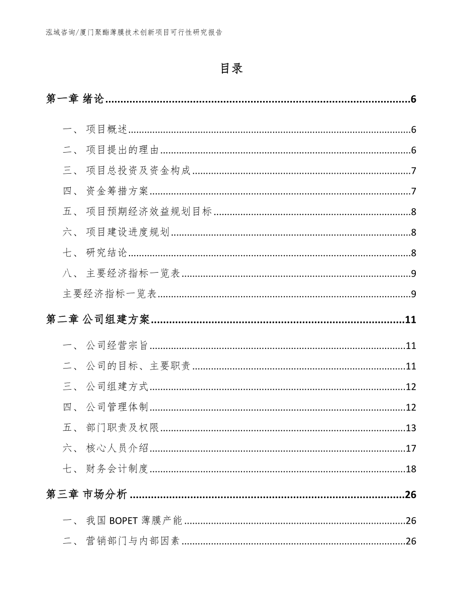 厦门聚酯薄膜技术创新项目可行性研究报告_范文_第1页