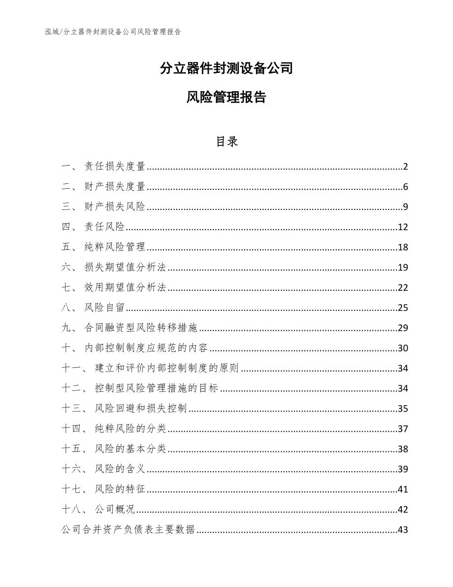 分立器件封测设备公司风险管理报告【范文】_第1页
