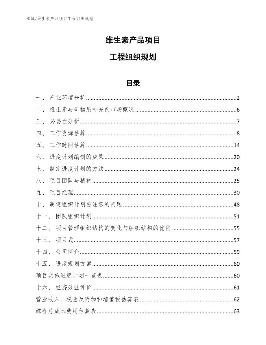 维生素产品项目工程组织规划_范文_第1页