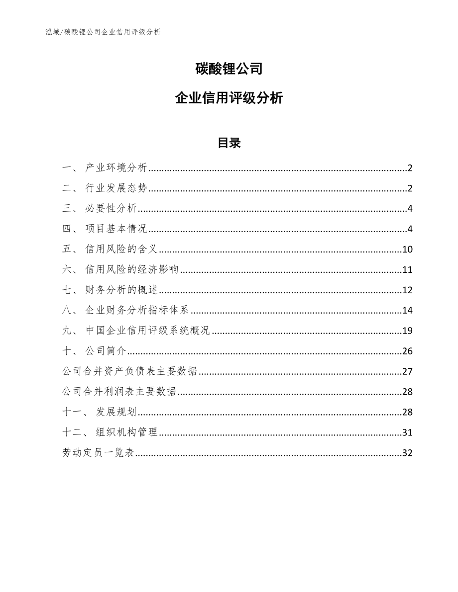 碳酸锂公司企业信用评级分析【范文】_第1页