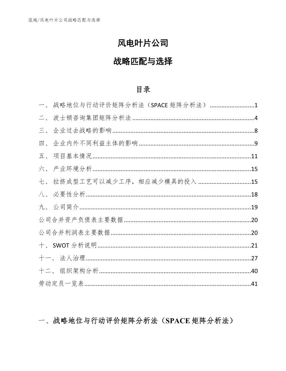 风电叶片公司战略匹配与选择（参考）_第1页