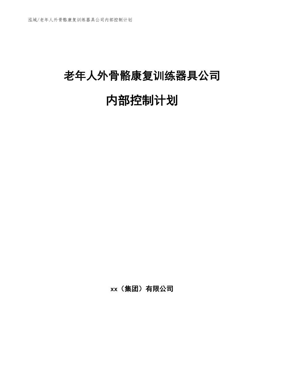 老年人外骨骼康复训练器具公司内部控制计划_第1页